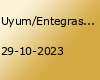 Uyum/Entegrasyon/Asimilasyon'a HAYIR de!