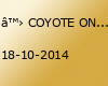 ♛ COYOTE ON THE FLOOR ♛ CLUB CROWN, Weiden ♛