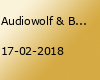 Audiowolf & Brainwayve