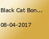 Black Cat Bone at Little Woodstock