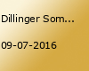 Dillinger Sommerfest mit Dj Helge