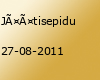 Jäätisepidu