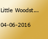 Little Woodstock Festival 2016