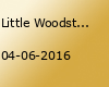 Little Woodstock Festival 2016