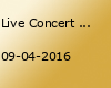 Live Concert mit Groove T