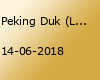 Peking Duk (LIVE)