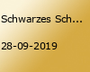 Schwarzes Schwimmbad & Electronic Therapy Revival im Connex MA
