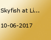 Skyfish at Little Woodstock