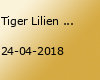 Tiger Lilien (10+)