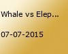 Whale vs Elephant & Tinörks